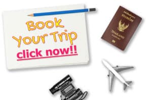 Discount Airfare and Flights | Budget Airfare